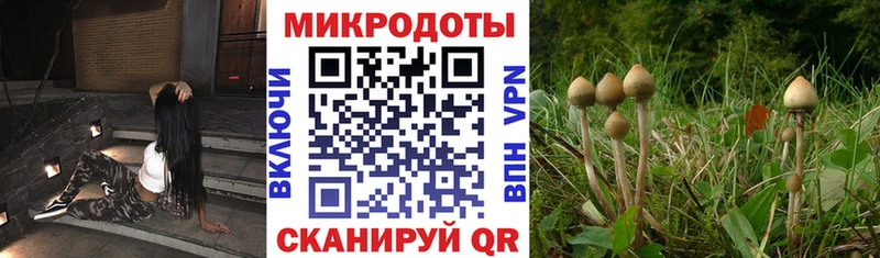 ОМГ ОМГ ССЫЛКА  Магас  Галлюциногенные грибы Psilocybe  купить наркотики цена 